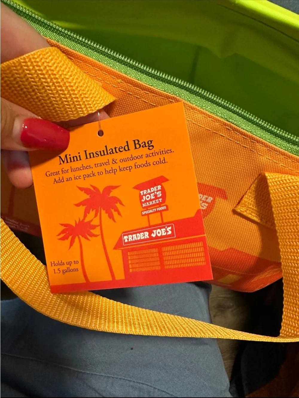 🆕Trader Joe’s Set of 2 Mini Insulated Food Storage Lunch Tote Bag❤️❤️